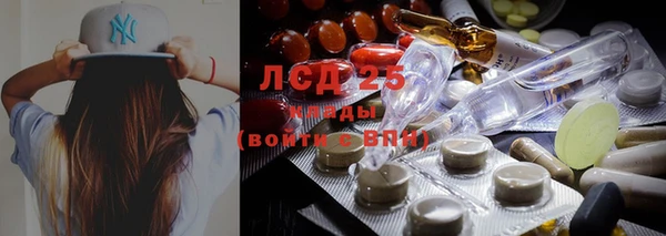 эйфоретик Ростов